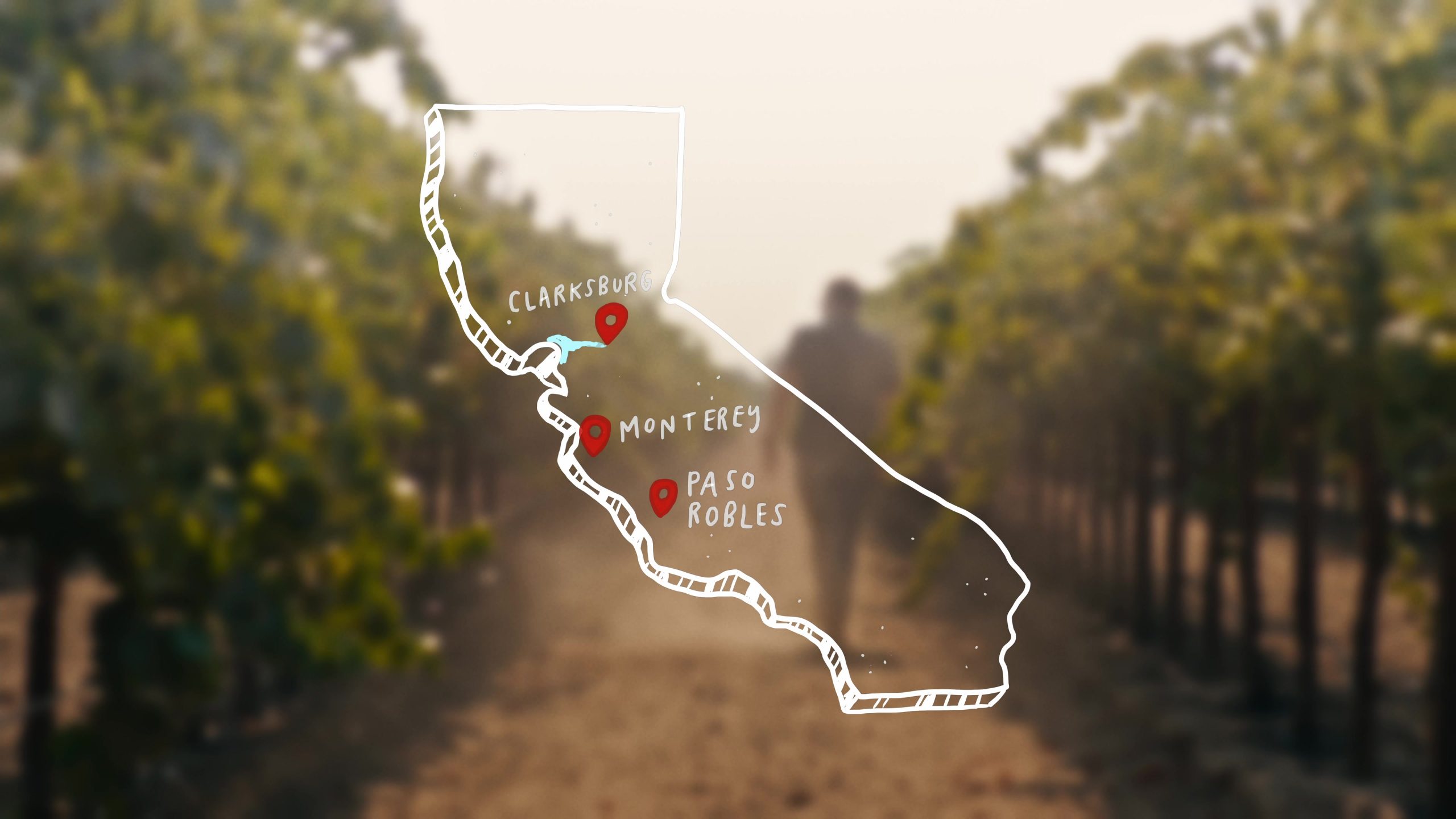 Map of California with locations marked: Clarksburg, Monterey, and Paso Robles, overlaid on a blurred vineyard background.